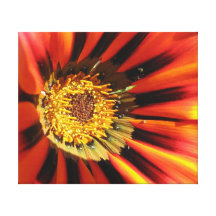Macro photographie de fleur toile tendue