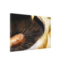 macro photographie d'un champignon impressions sur toile