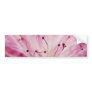 Macro Pink Bottlebrush Bumper Sticker