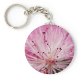 Macro Pink Bottlebrush Keychain