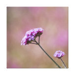 Macro Purple and Pink Flowers Gallery Wrap Canvas