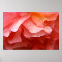 MACRO ROSE PRINT