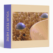 Macro Spores Binder