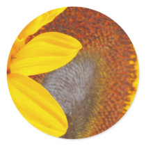 Macro Sunflower Sticker