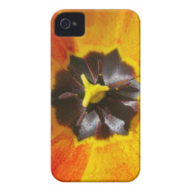 Macro Tulip iPhone 4 Case