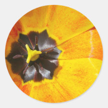 Macro Tulip Round Sticker