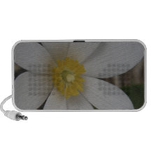 Macro yellow and white Crocus Mini Speaker