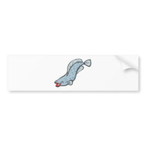 Mad Arapaima Freshwater Fish Bumper Stickers