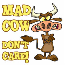 MAD COW DONT CARE FUNNY ANIMAL HUMOR PHOTO SCULPTURE