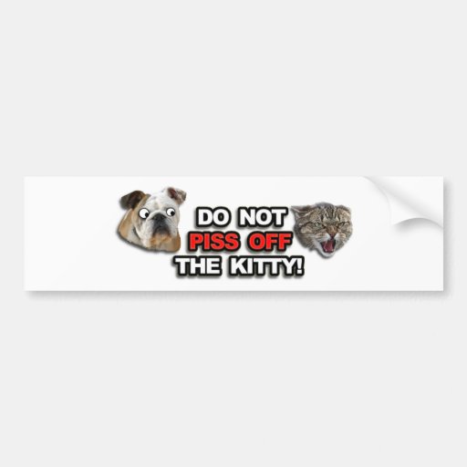 Mad Kitty Bumper Stickers
