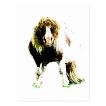 mad pony gifts & greetings postcard