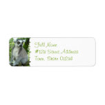 Madagascar Lemur Return Address Label