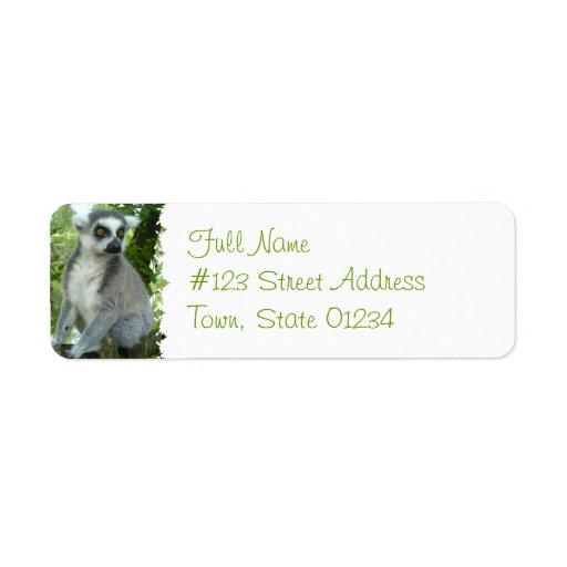 Madagascar Lemur Return Address Label