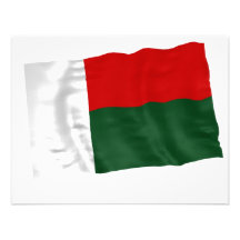 madagascar personalized invitation