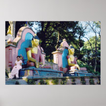 Madame rose de Bouddha, Swambunath Posters