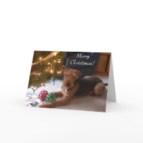 Maddie says, "Merry Christmas!" Card