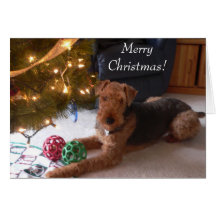 Maddie says, "Merry Christmas!" Card