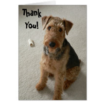 Madeleine Thank You Notecard