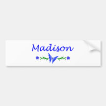 Madison (Blue Butterfly) Bumper Stickers