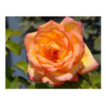 Madonna Inn Rose Post Card