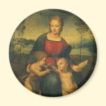 Madonna of the Goldfinch, Raphael Renaissance Art magnets