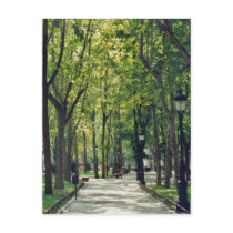 Madrid Park Postcard