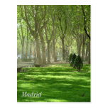Madrid Postcards
