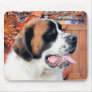Mae - Saint Bernard Photo-6 Mouse Pads