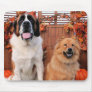 Mae St Bernard and Cinny Chow Photo-11 Mouse Pads