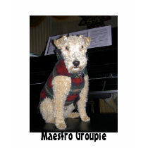 Maestro Groupie T Shirt