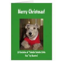 Maestro the Lakeland Terrier Christmas Cards