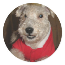 Maestro the Lakeland Terrier Christmas Cards stickers