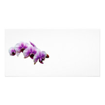 Magenta and White Orchids Photo Card Template