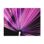 Magenta Palm Post Cards