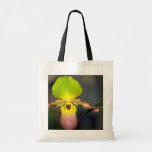 Magenta Paphiopedilum flowers Tote Bag