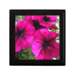 Magenta Petunias gift boxes