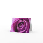Magenta Rose notecard
