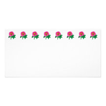 Magenta Zinnia With Leaves Picture Card