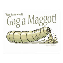 maggot_gag_zazzle post card