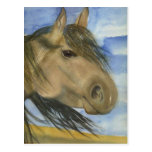 Magic, An American Mustang Postcards