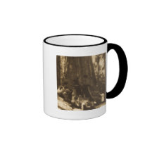 Magic Lantern Slide Maraposa Big Trees California Mugs