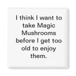 Magic Mushroom Magnet