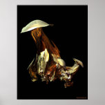 Magic Mushroom Poster
