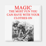 MAGIC REFRIGERATOR MAGNET