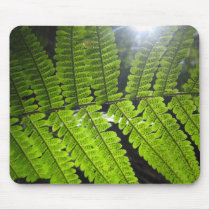 Magical Ferns (1) Mouse Pad