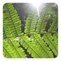 Magical Ferns (2) Stickers