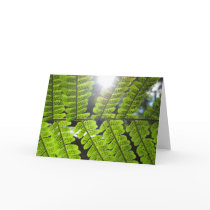 Magical Ferns (3) Greeting Cards