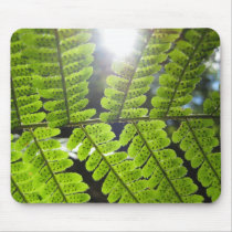Magical Ferns (3) Mouse Pad