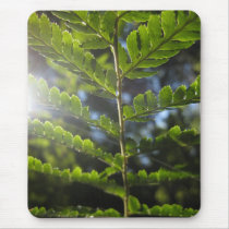 Magical Ferns (4) Mouse Pad