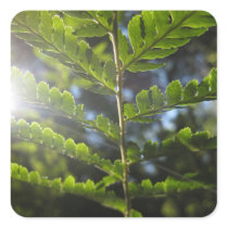 Magical Ferns (4) Stickers